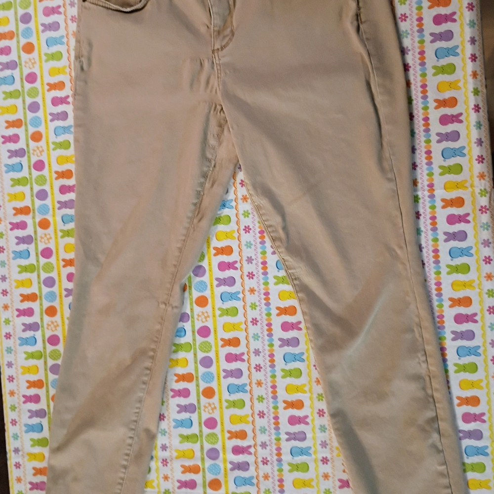 Sonoma Tan Skinny Pants